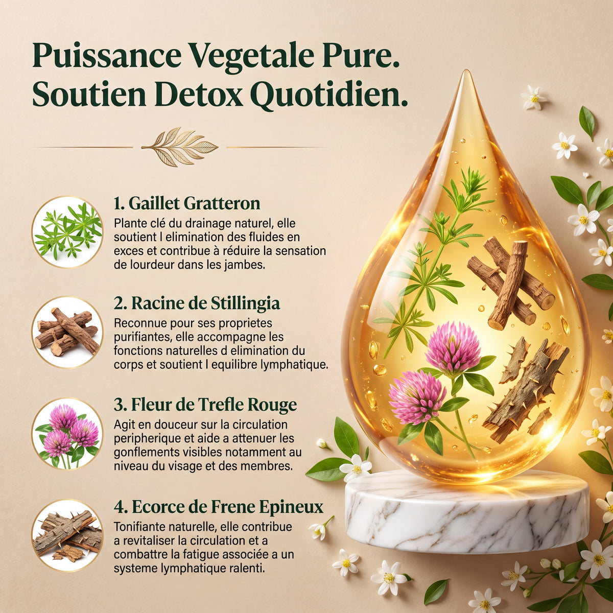 Les 4 plantes du complexe liquide de drainage Drenolia
